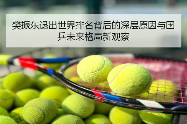樊振东退出世界排名背后的深层原因与国乒未来格局新观察