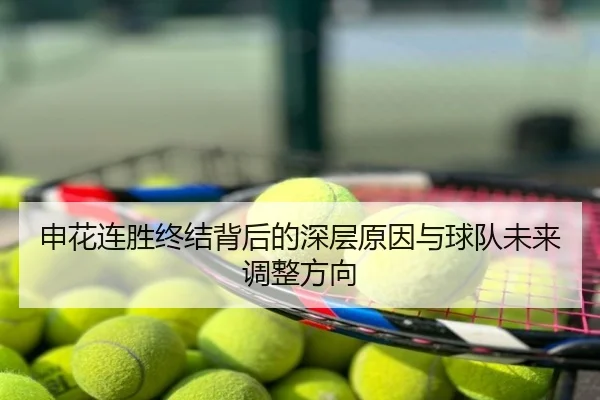 申花连胜终结背后的深层原因与球队未来调整方向